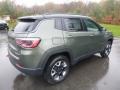 Olive Green Pearl - Compass Trailhawk 4x4 Photo No. 5