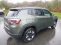 2018 Olive Green Pearl Jeep Compass Trailhawk 4x4  photo #5