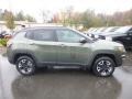 Olive Green Pearl - Compass Trailhawk 4x4 Photo No. 6