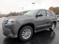  2018 GX 460 Nebula Gray Pearl
