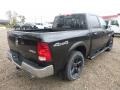 Brilliant Black Crystal Pearl - 1500 Big Horn Crew Cab 4x4 Photo No. 5