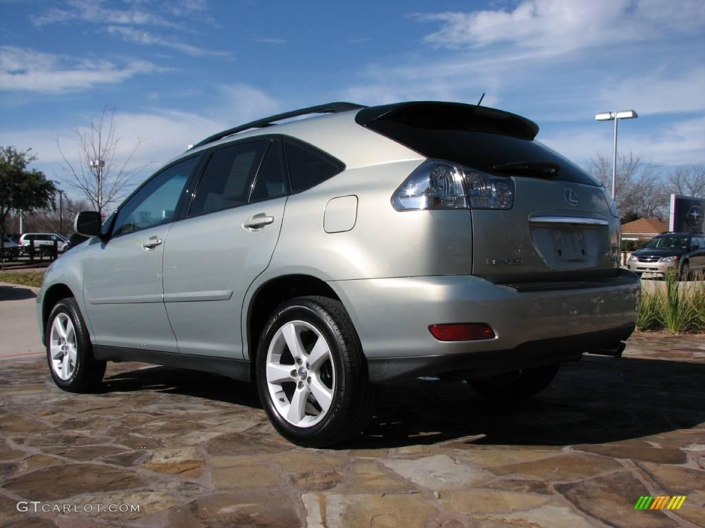 2007 RX 350 - Bamboo Green Pearl / Light Gray photo #5