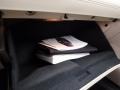 Champagne Silver Metallic - LaCrosse Leather Photo No. 29