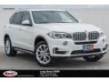 Alpine White - X5 xDrive35i Photo No. 1