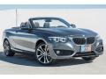 Mineral Grey Metallic 2018 BMW 2 Series 230i Convertible Exterior