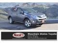 Magnetic Gray Metallic - RAV4 XLE Photo No. 1