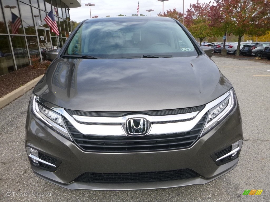 2018 Odyssey Elite - Pacific Pewter Metallic / Mocha photo #6