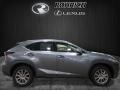 Nebula Gray Pearl - NX 300 AWD Photo No. 2