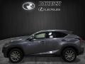 Nebula Gray Pearl - NX 300 AWD Photo No. 3