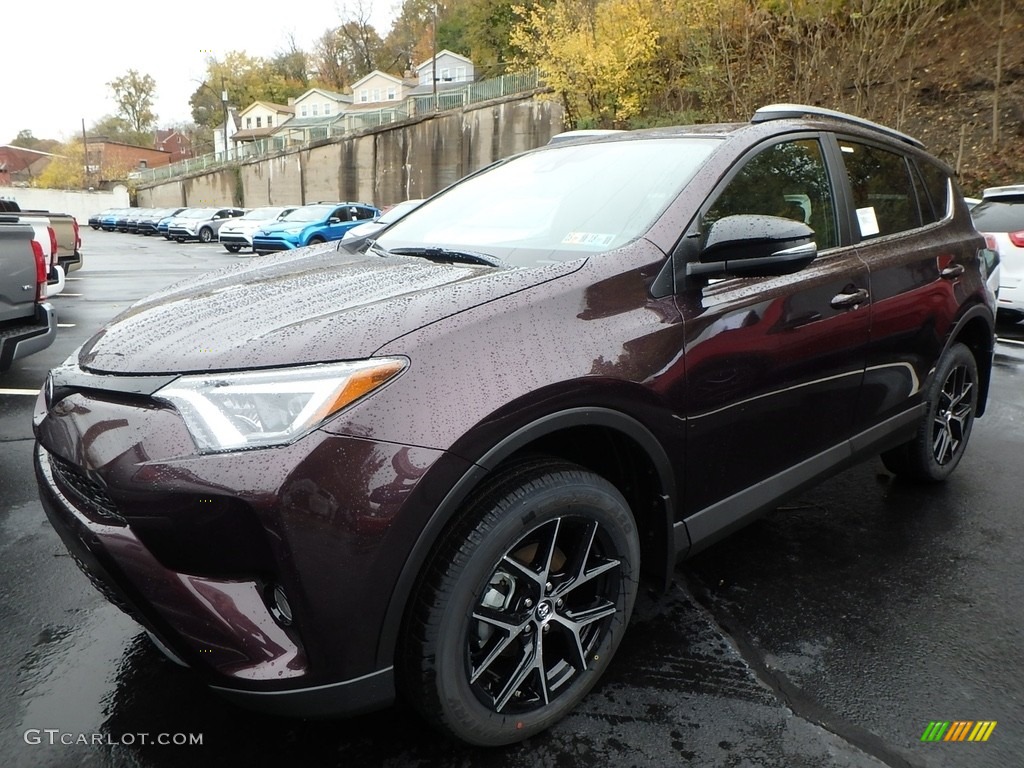 Black Current Metallic 2018 Toyota RAV4 SE AWD Exterior Photo #123721843