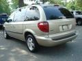 Linen Gold Metallic - Caravan SXT Photo No. 4