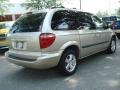 Linen Gold Metallic - Caravan SXT Photo No. 6