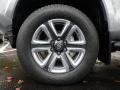 Silver Sky Metallic - Tacoma Limited Double Cab 4x4 Photo No. 5