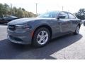 2017 Destroyer Grey Dodge Charger SE  photo #3