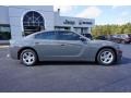 2017 Destroyer Grey Dodge Charger SE  photo #8