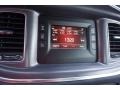 2017 Destroyer Grey Dodge Charger SE  photo #13