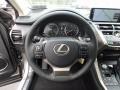 Atomic Silver - NX 300h Hybrid AWD Photo No. 13