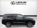 Black Onyx - GX 460 Luxury Photo No. 2