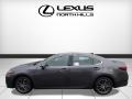 Nebula Gray Pearl - ES 350 Photo No. 3