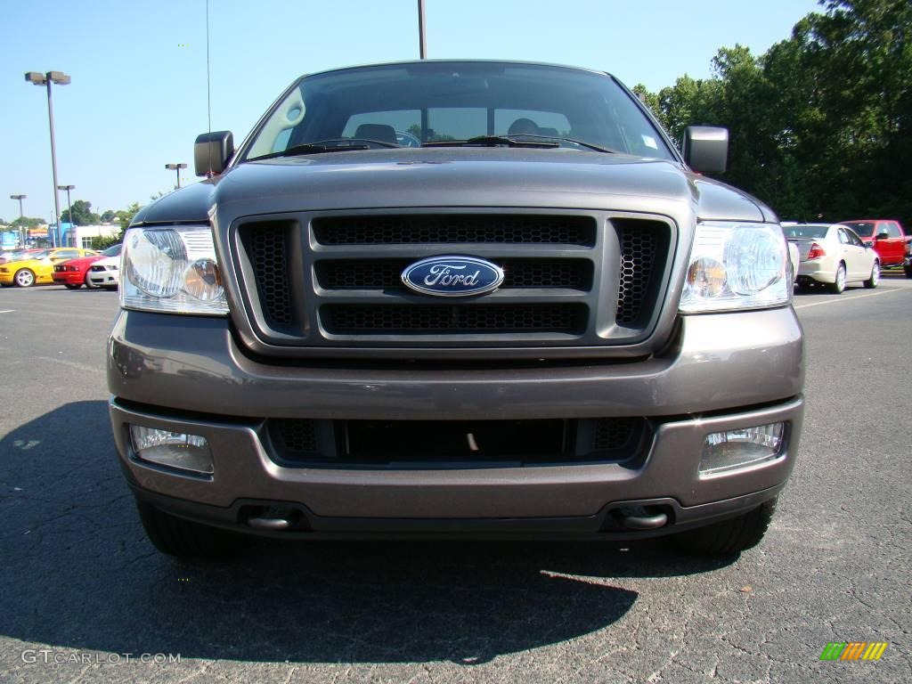 2005 F150 STX Regular Cab 4x4 - Dark Shadow Grey Metallic / Medium Flint Grey photo #7