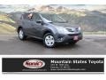 Magnetic Gray Metallic - RAV4 LE Photo No. 1