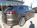 Titanium Flash Mica - CX-9 Grand Touring AWD Photo No. 2