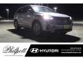 2018 Iron Frost Hyundai Santa Fe SE  photo #1