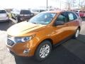 Orange Burst Metallic - Equinox LS AWD Photo No. 7