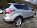 2018 Ingot Silver Ford Escape SE 4WD  photo #2