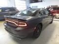 Granite Pearl - Charger GT AWD Photo No. 5