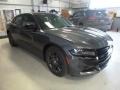Granite Pearl - Charger GT AWD Photo No. 6