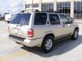 Sahara Beige Metallic - Pathfinder LE 4x4 Photo No. 3