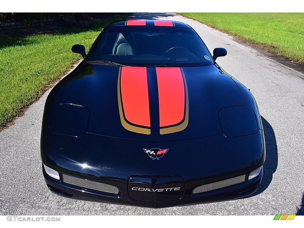 2002 Corvette Z06 - Black / Black photo #8