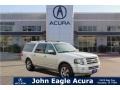 2010 Ingot Silver Metallic Ford Expedition EL Limited  photo #1
