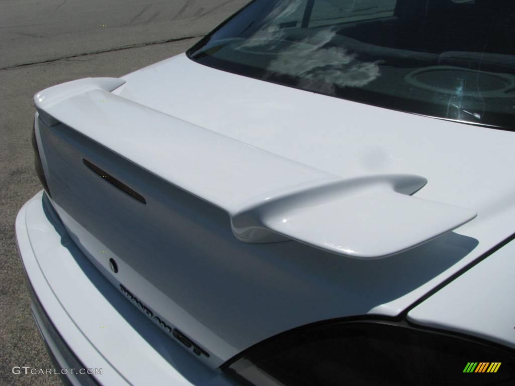 2002 Grand Am GT Sedan - Arctic White / Dark Pewter photo #13