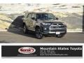 2018 Magnetic Gray Metallic Toyota 4Runner Limited 4x4  photo #1