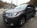 2018 Predawn Gray Mica Toyota Highlander Hybrid Limited AWD  photo #4