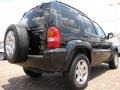 2004 Black Clearcoat Jeep Liberty Limited  photo #5