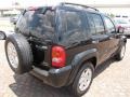 2004 Black Clearcoat Jeep Liberty Limited  photo #13
