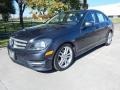 2013 Steel Grey Metallic Mercedes-Benz C 250 Luxury  photo #10