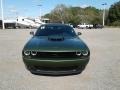 F8 Green - Challenger R/T Plus Photo No. 8
