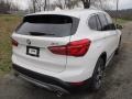 Alpine White - X1 xDrive28i Photo No. 3