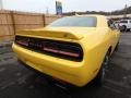 Yellow Jacket - Challenger GT AWD Photo No. 5