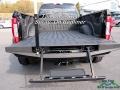 Shadow Black - F450 Super Duty Platinum Crew Cab 4x4 Photo No. 14