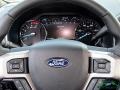 Shadow Black - F450 Super Duty Platinum Crew Cab 4x4 Photo No. 15