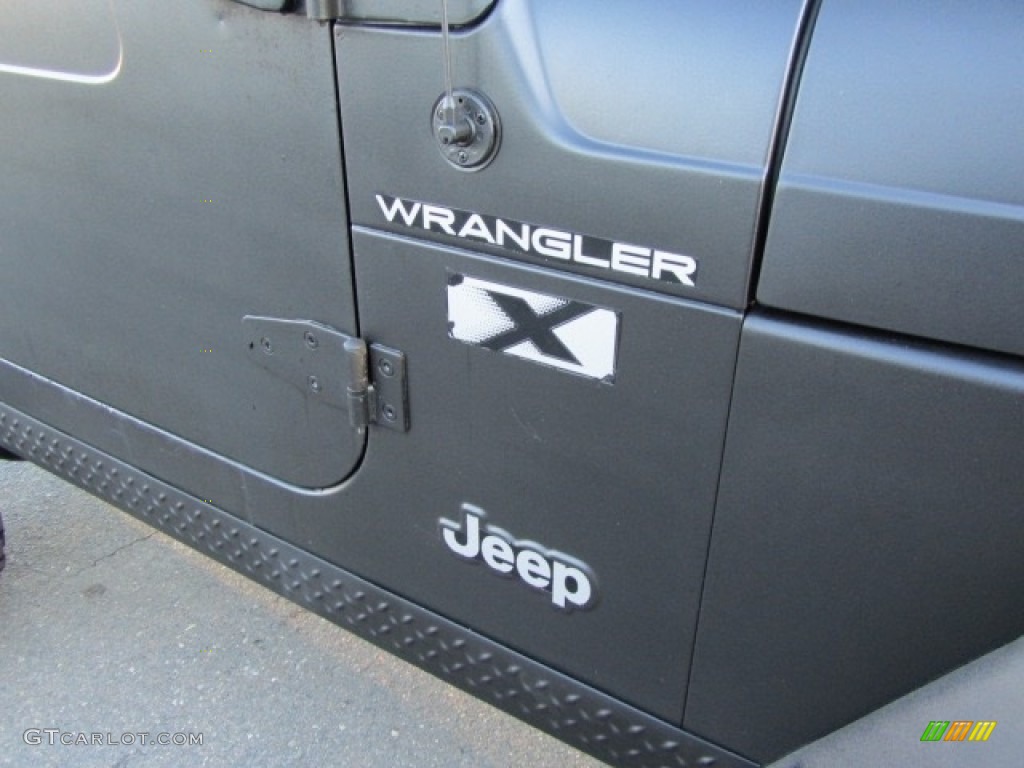 2002 Wrangler X 4x4 - Black / Agate Black photo #12