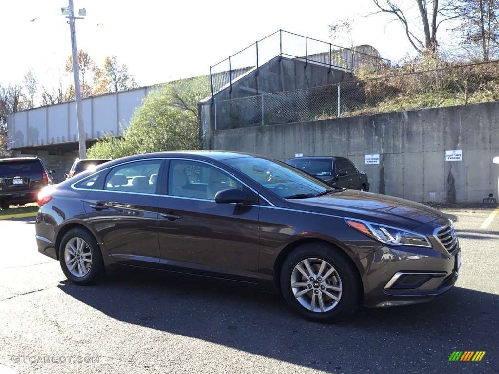 2016 Sonata SE - Dark Truffle / Beige photo #3