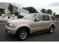 2005 Light French Silk Metallic Lincoln Aviator Luxury AWD  photo #1