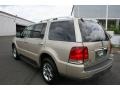 2005 Light French Silk Metallic Lincoln Aviator Luxury AWD  photo #7