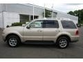 2005 Light French Silk Metallic Lincoln Aviator Luxury AWD  photo #8